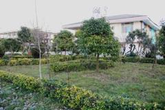 Ghasresangar-Rasht_52254